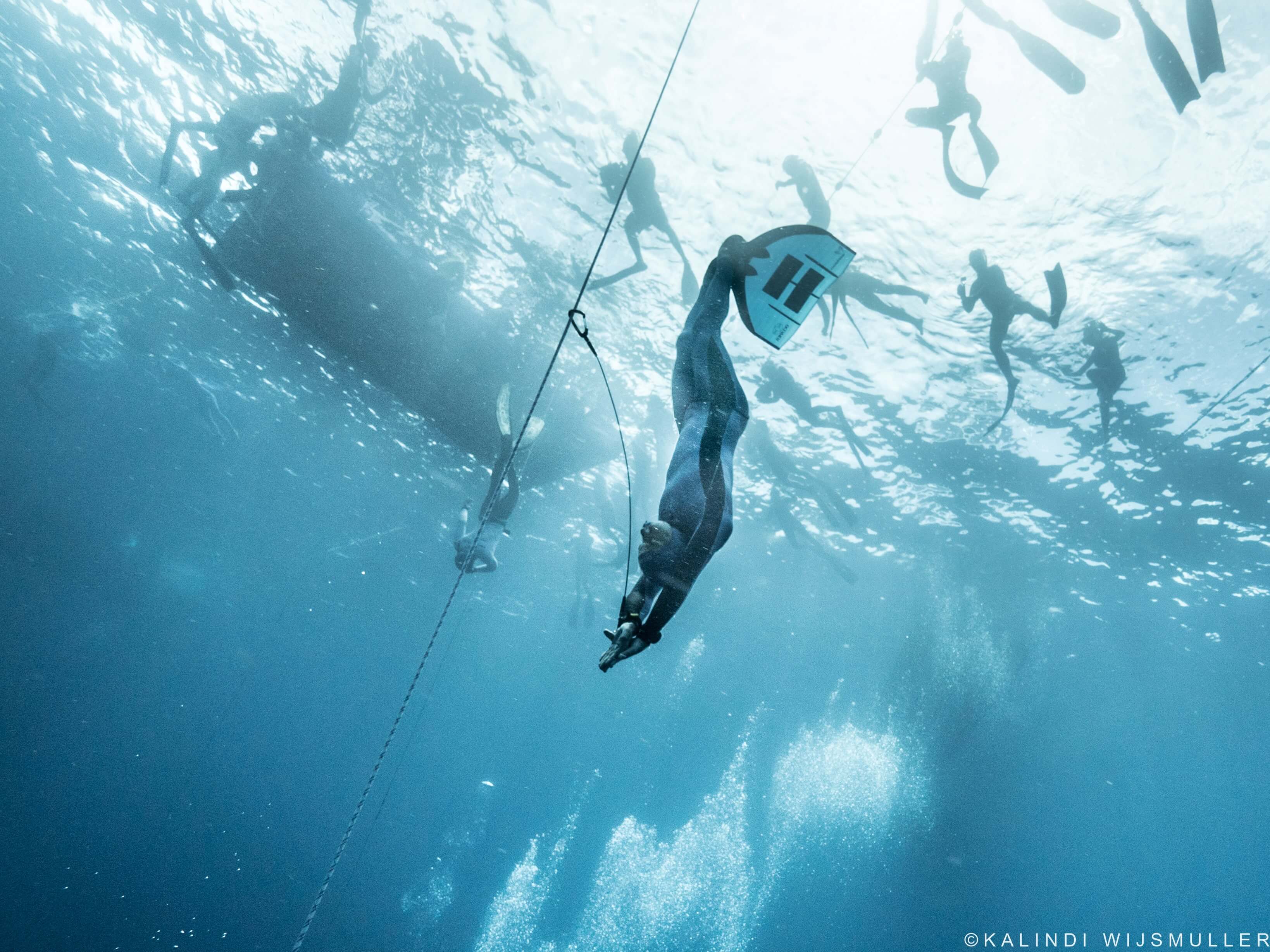 descent website